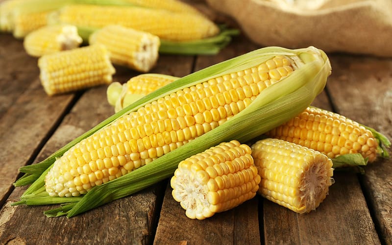 Maize